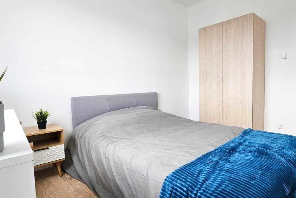 C'Est Chez Maurice! 4 Ch Wifi Balcon Parking Free Apartman Saint-Étienne Kültér fotó