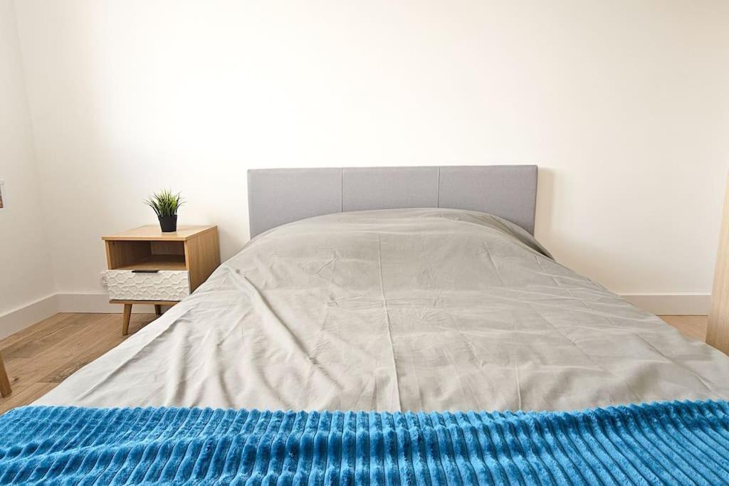 C'Est Chez Maurice! 4 Ch Wifi Balcon Parking Free Apartman Saint-Étienne Kültér fotó